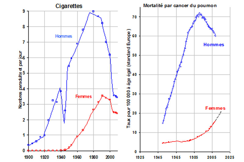 cigarettes consommation et cancer