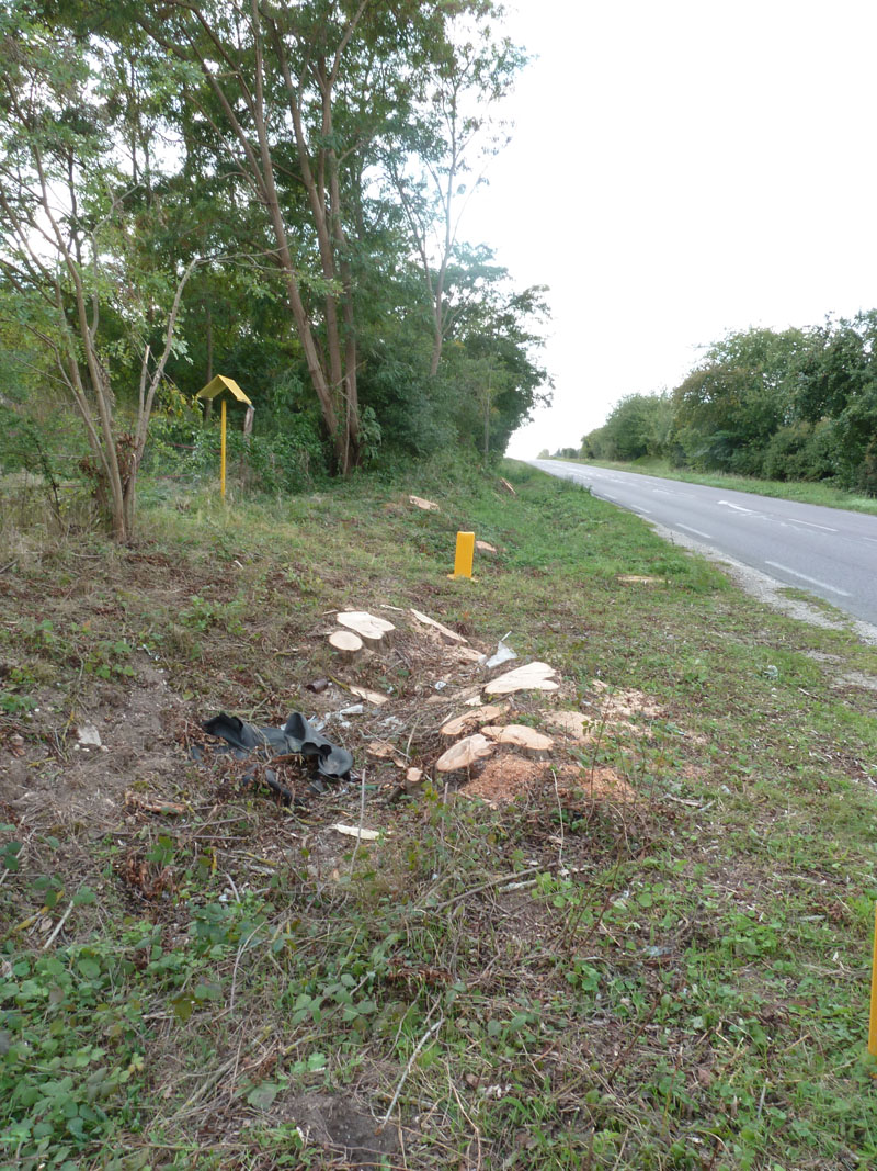 arbres éliminés après un accident